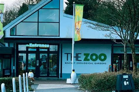 Belfast Zoo Refund