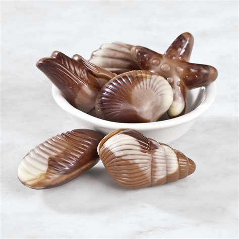belgian chocolate seashell candy
