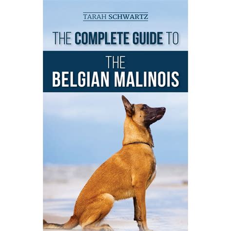 belgian malinois training guide pdf