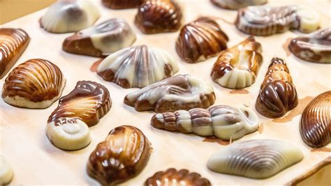 belgian seashell chocolates guylian
