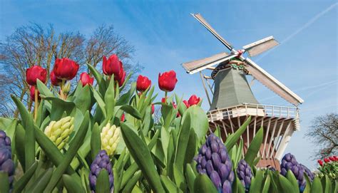 belgium and netherlands tour package