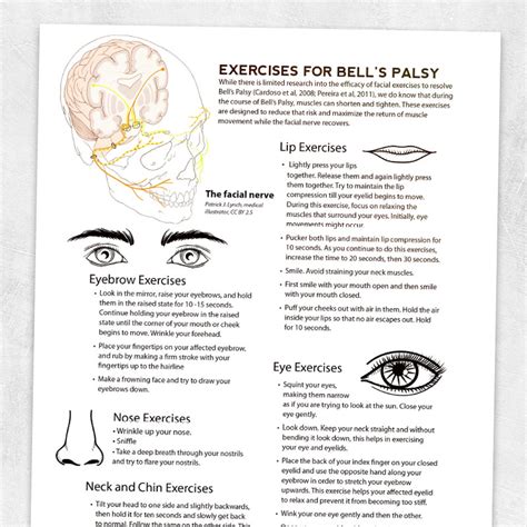 bell's palsy patient education