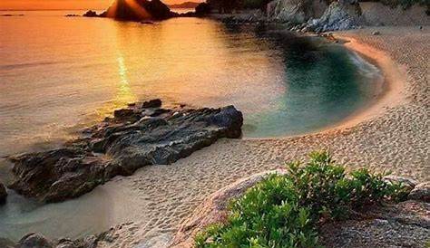 Les cinq plus belles plages de Corse pour des vacances paradisiaques