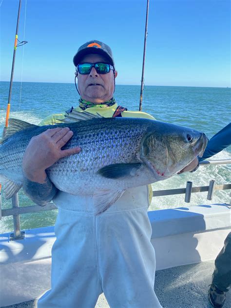 Belmar Fishing Report