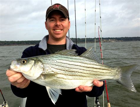 Belton Lake Fishing Report