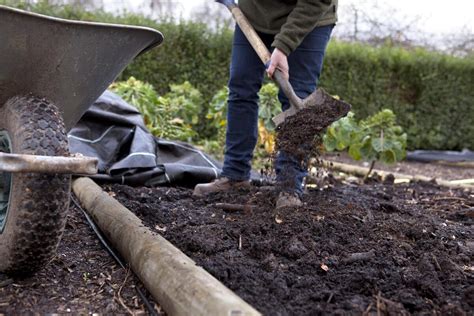 Bemesten Moestuin Wanneer