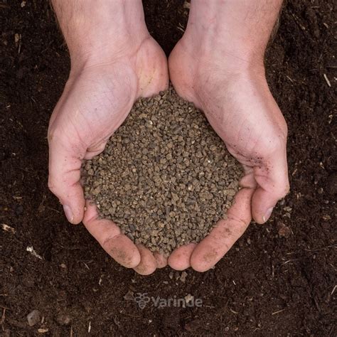 Bemesting Tuinplanten