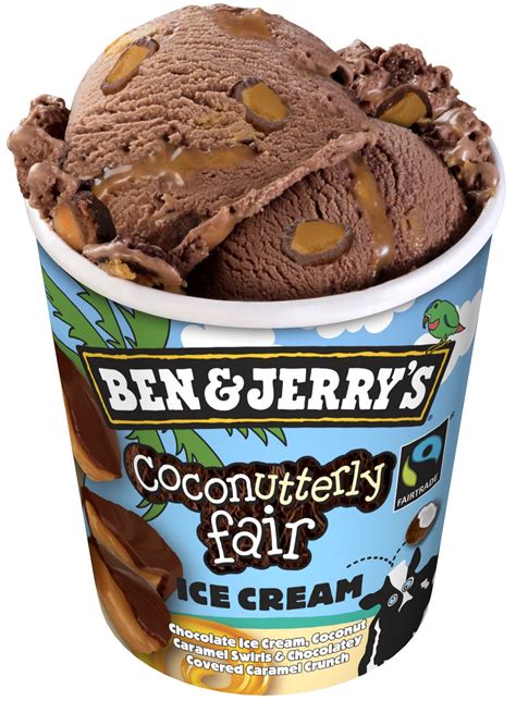 Ben And Jerry's Rum Ice Cream
