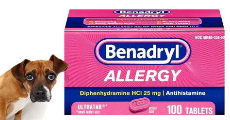 benadryl for dogs with hives