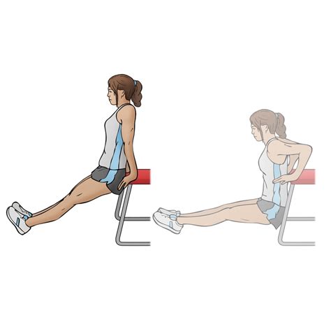 Bench Dips Diagram