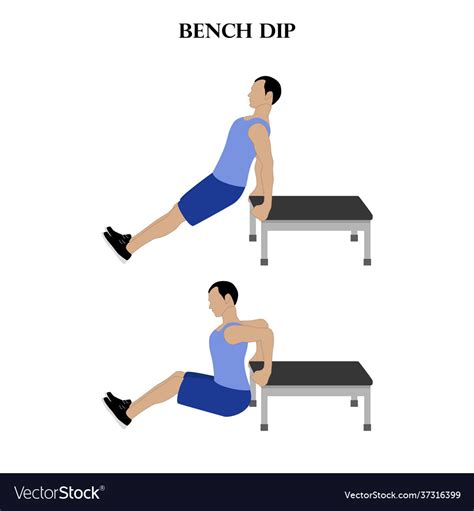 Bench Dips In Exercise