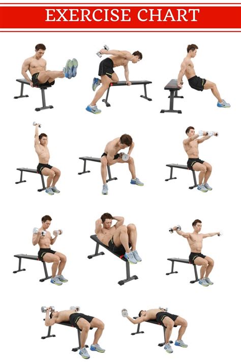 Bench Exercise Types