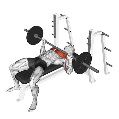 Bench Press Exercise Gif