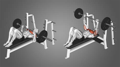 Mastering the Bench Press Pull Up: A Challenging Combo for Ultimate Upper Body Strength