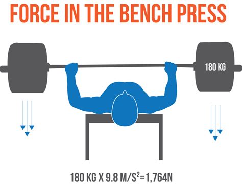 bench press the science pdf download