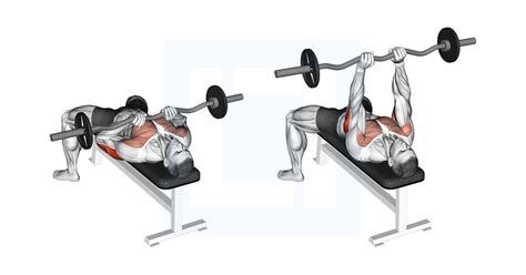 Bench Press With Ez Curl Bar