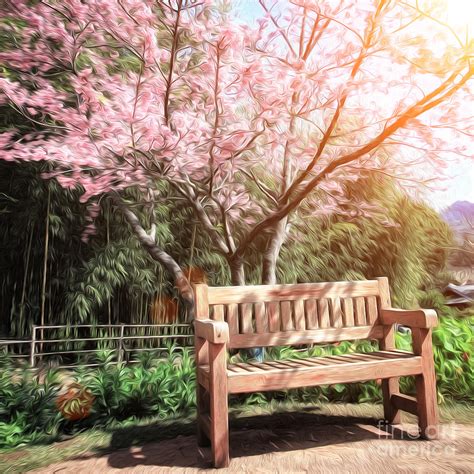 Bench Under Cherry Blossom Tree