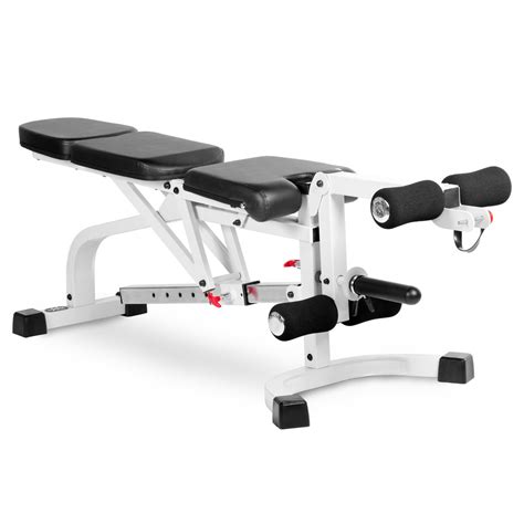Bench With Leg Extension And Leg Curl