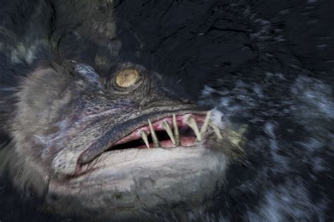 Beneath Fish Movie - Dunuye