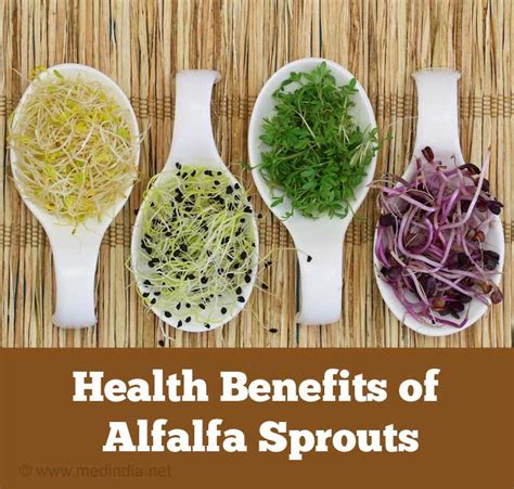 benefit of alfalfa sprouts
