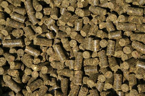 benefits of alfalfa pellets for horses