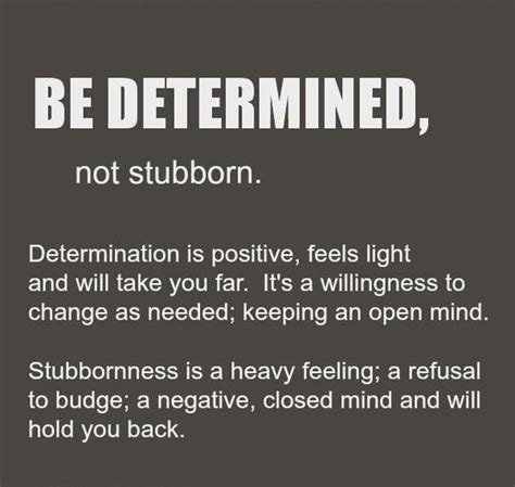 benefits of being stubborn