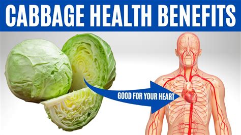Benefits Of Cabbage