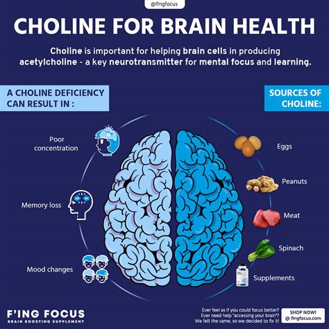 benefits of choline for brain health