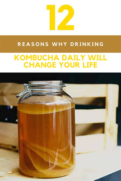 benefits of drinking kombucha daily
