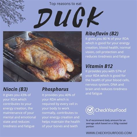 benefits of eating duck meat