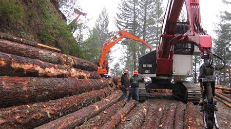 The Benefits of Logging The Fisherman