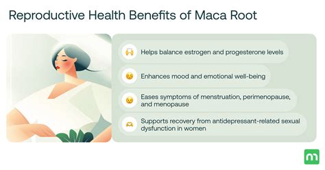 Benefits Of Maca Fertility