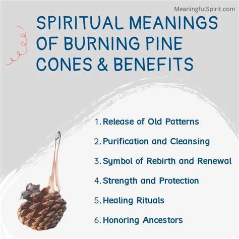 Benefits Of Pine Cones