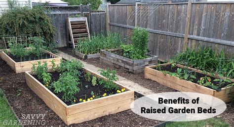 Raised Bed Garden Benefits Top 5 Reasons to Choose joe gardener