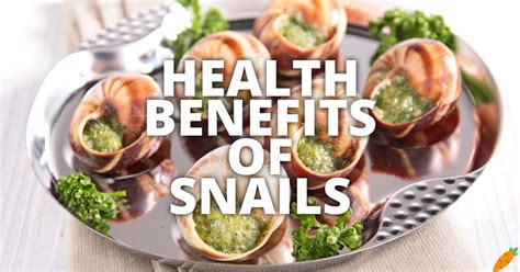 Benefits Of Snails