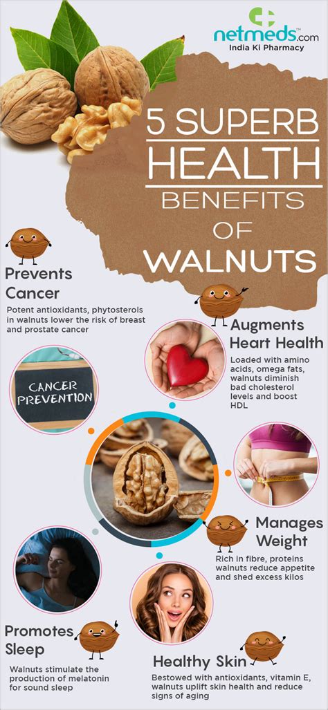 Benefits Of Walnuts In Brain Function