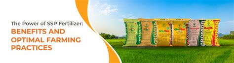 benefits while on ssp