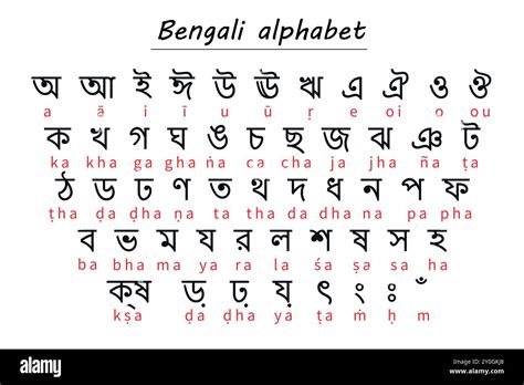 5 Bengali Language Tips