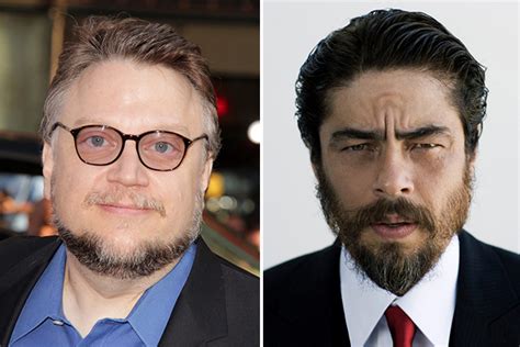 benicio and guillermo del toro