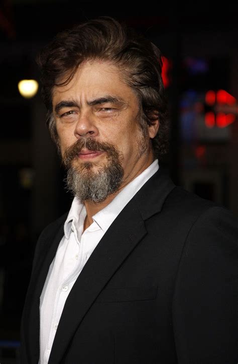 benicio del toro biography