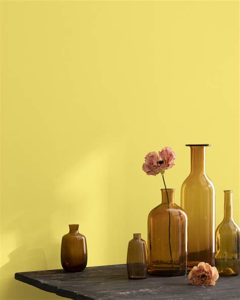 Benjamin Moore Yellow Finch