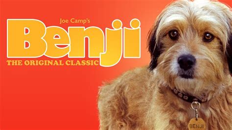 benji the dog movie