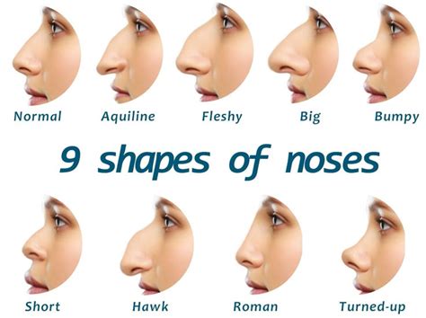 Bent Nose Names