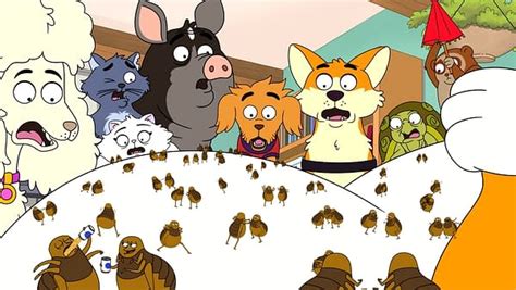 Bento Box Animation Shows