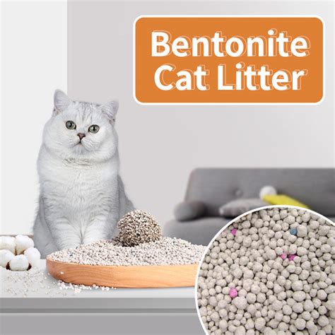 Bentonite Cat Litter Process