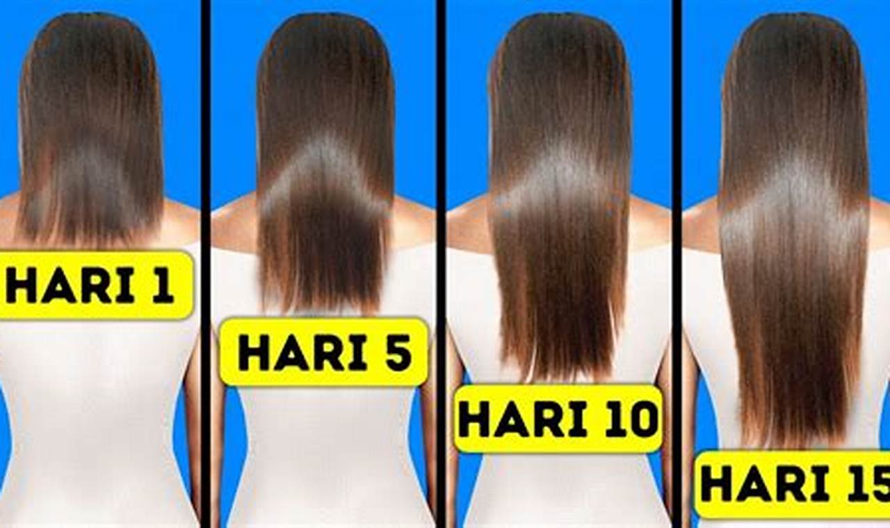 Misteri Terungkap: Rahasia Pertumbuhan Rambut hingga 1 Minggu