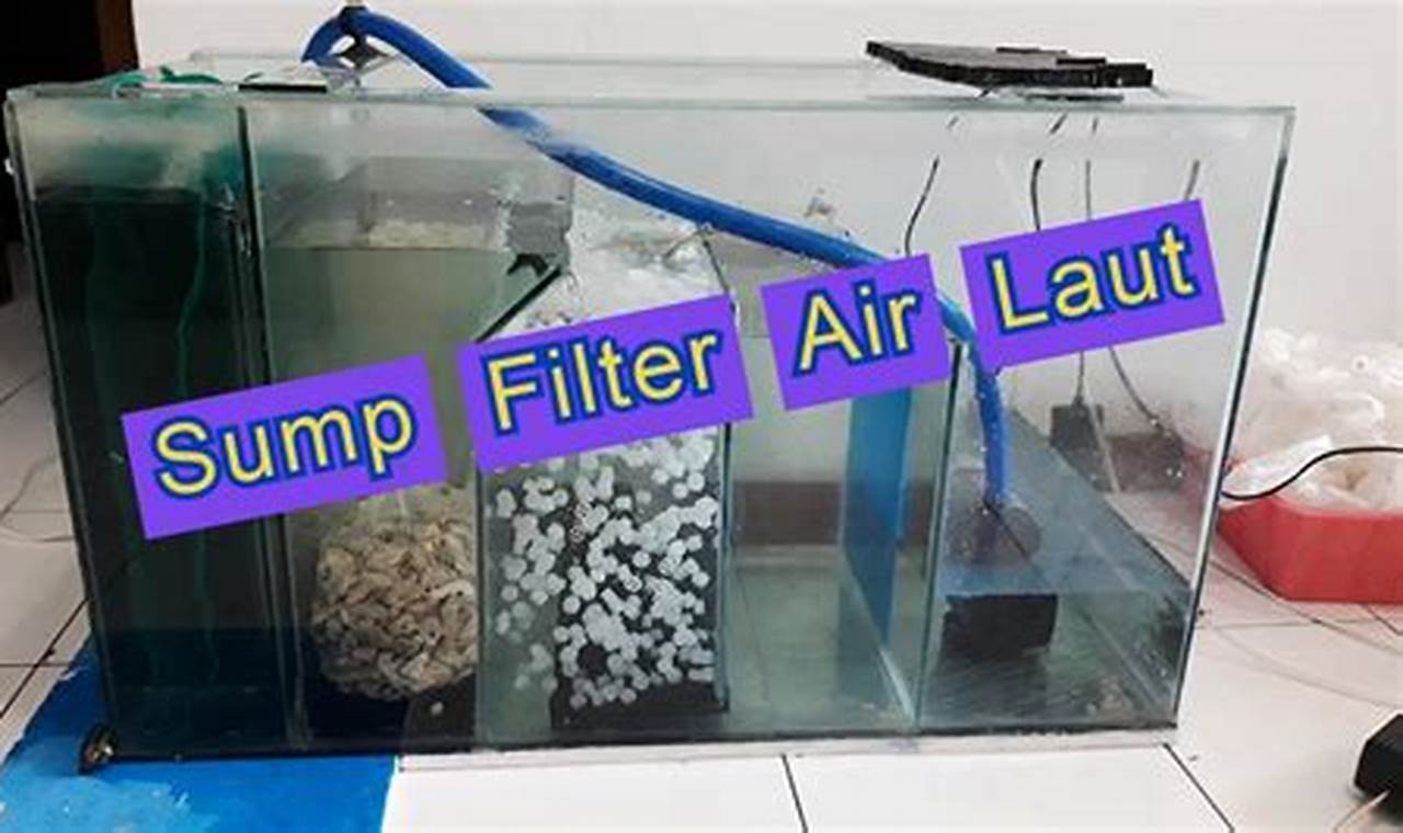 berapa jam penggunaan filter aquarium?