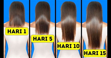 Pertumbuhan Rambut: Rahasia Panjang & Sehat