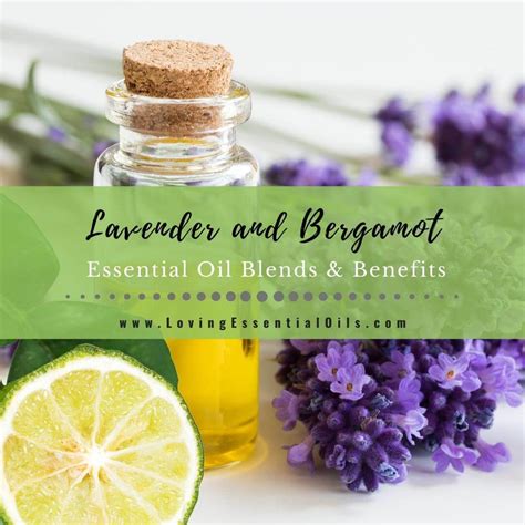bergamot and lavender essential oil