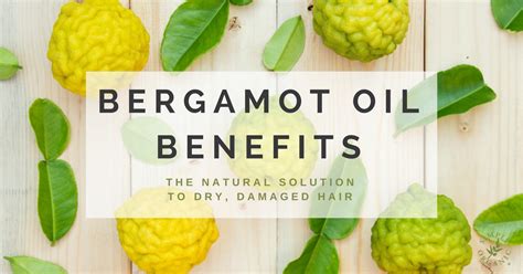 bergamot essential oil natural hair